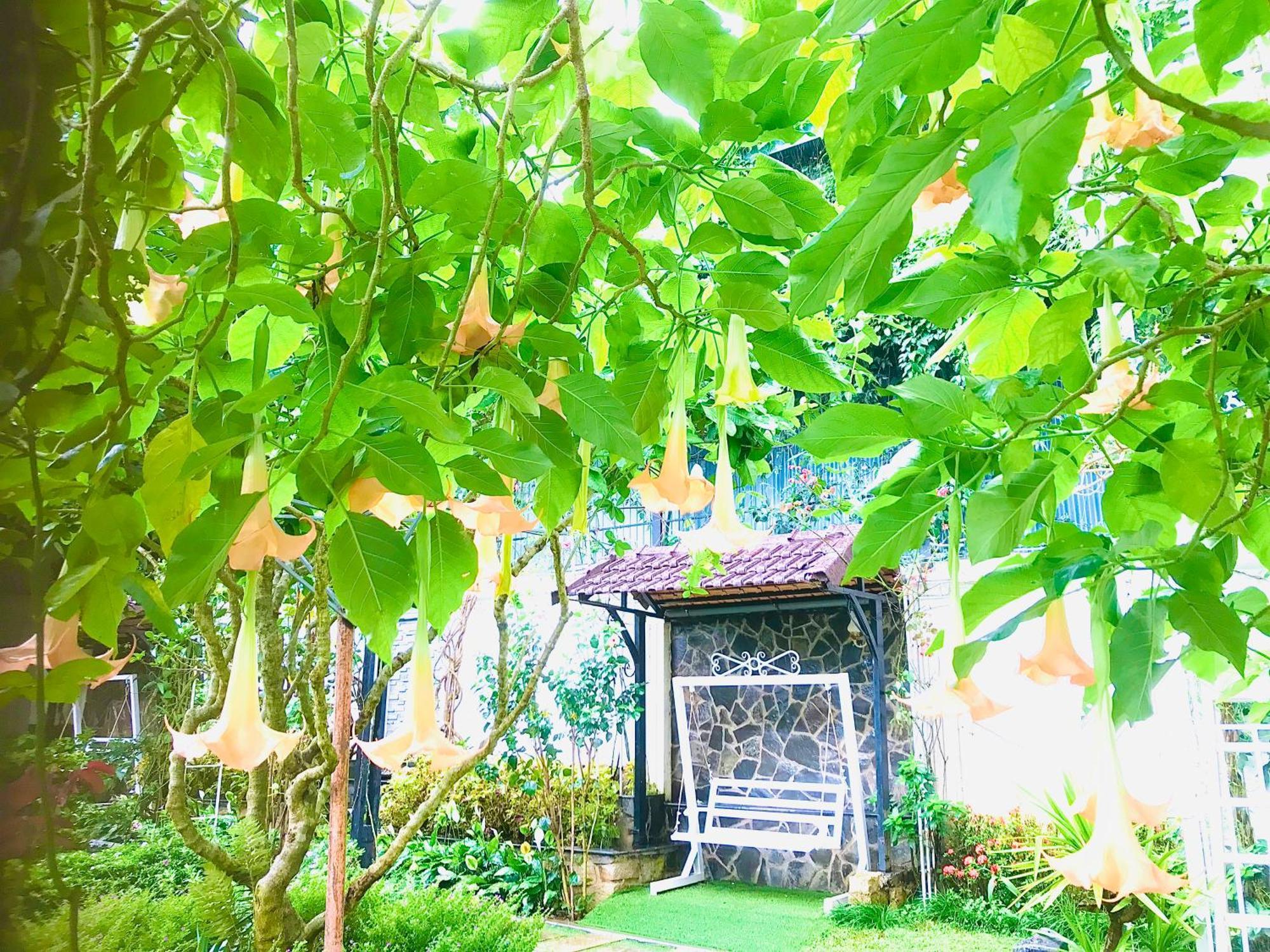 Hotel Hoa NáNg Bao Loc Luaran gambar