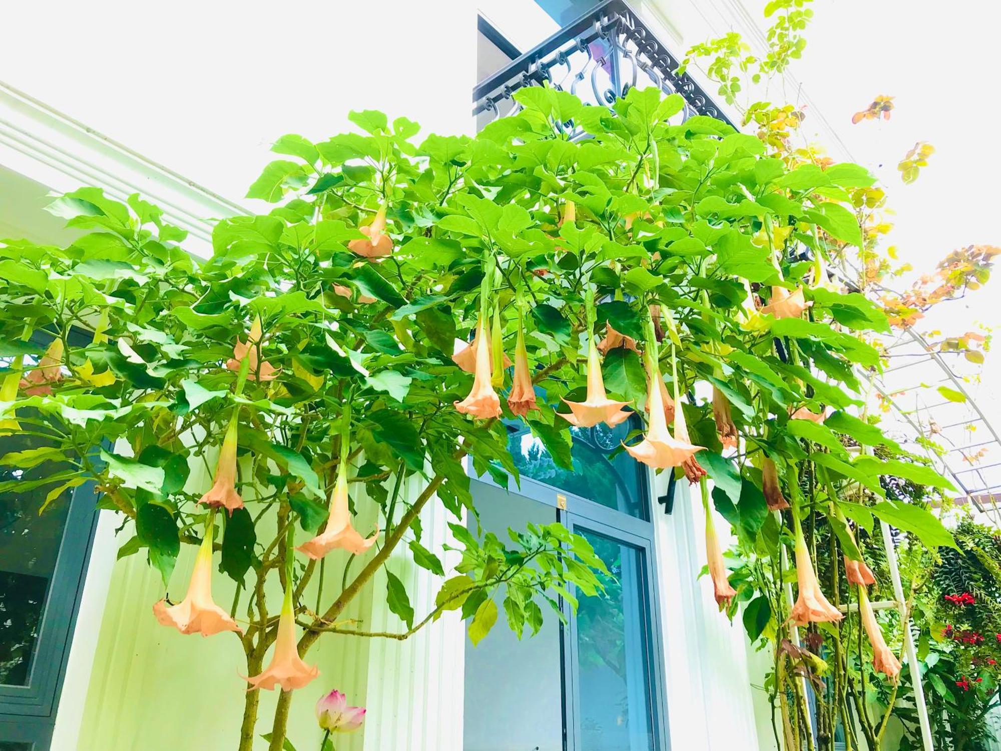 Hotel Hoa NáNg Bao Loc Luaran gambar