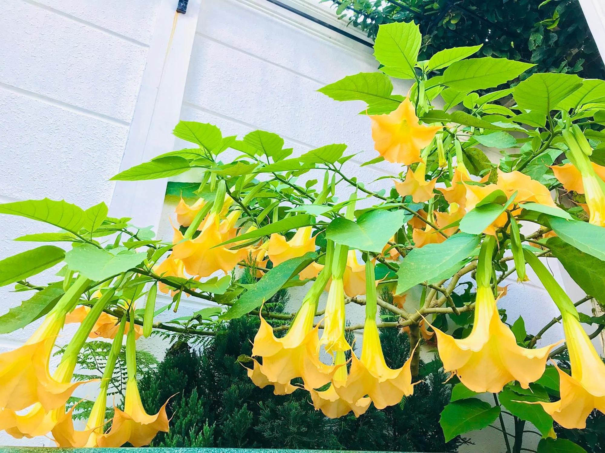 Hotel Hoa NáNg Bao Loc Luaran gambar